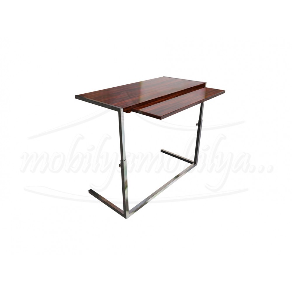 Professional Laptop Desk