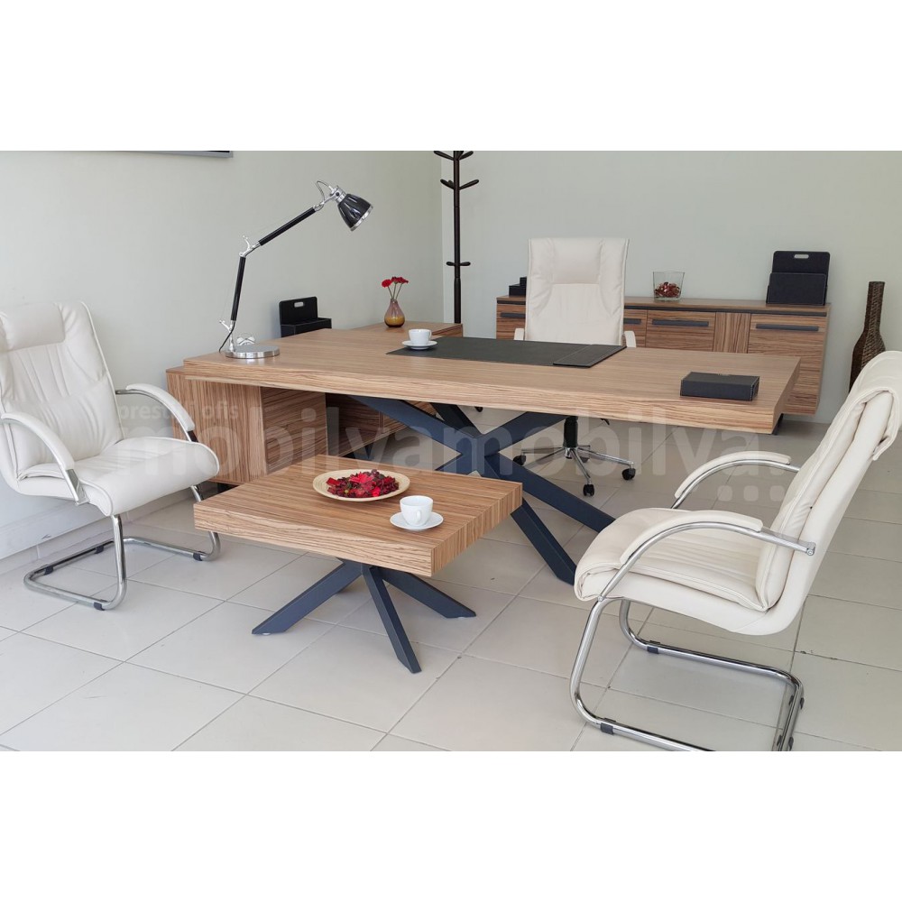 Lexus Executive Office Team