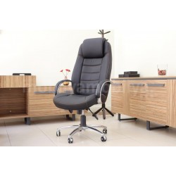 Lexus Executive Office Team